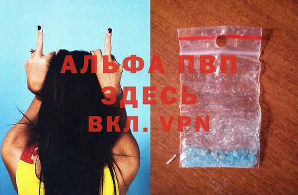 spice Покачи