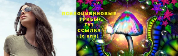 сатива Покров