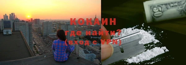 гидра Снежногорск