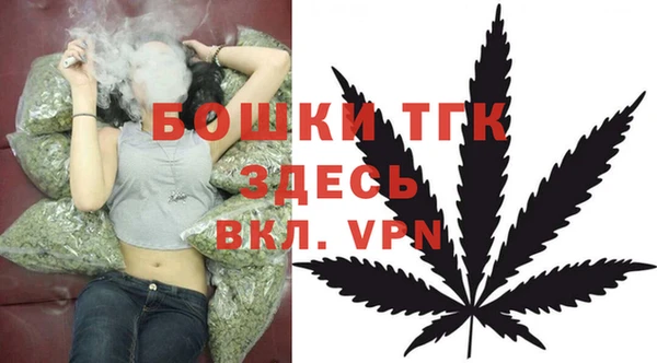 дурь Дегтярск