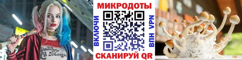 Псилоцибиновые грибы ЛСД  ссылка на мегу как зайти  Агрыз  сколько стоит 